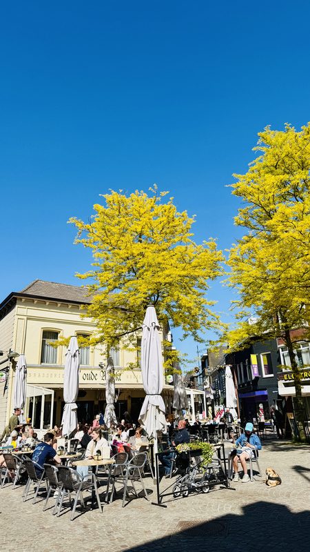 A sunny Dutch town square in spring